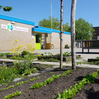 Groen schoolplein voor de Zevenster