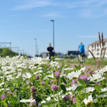 Dit najaar meer duidelijkheid over toekomst warmtenet in Twekkelerveld