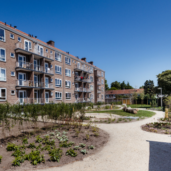 Maanstraat: hoe staat het nu?